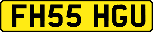 FH55HGU