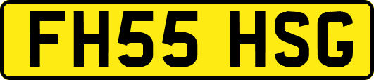 FH55HSG