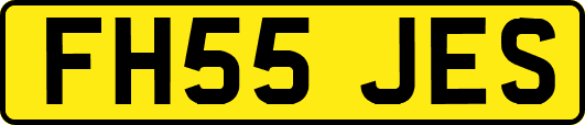 FH55JES