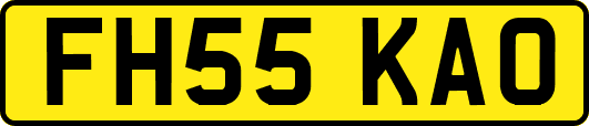 FH55KAO