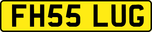 FH55LUG