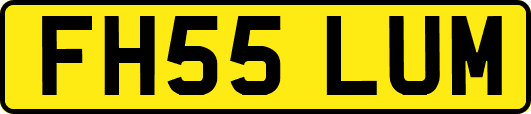 FH55LUM