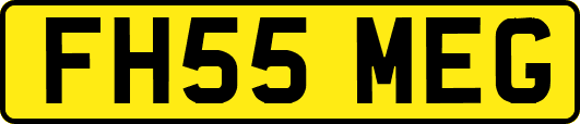 FH55MEG