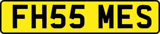 FH55MES