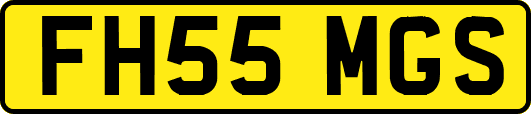 FH55MGS
