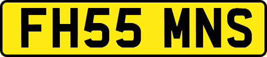 FH55MNS