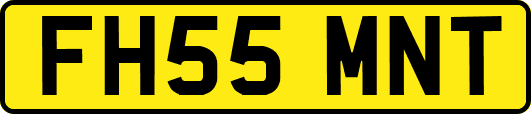 FH55MNT
