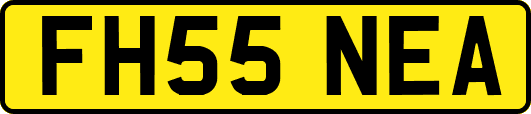 FH55NEA