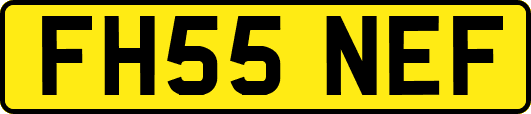 FH55NEF