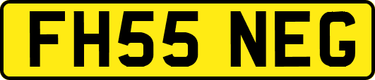 FH55NEG