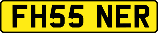 FH55NER