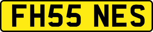 FH55NES