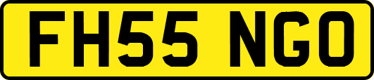 FH55NGO