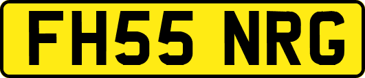 FH55NRG