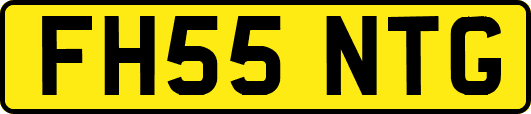 FH55NTG
