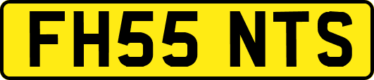 FH55NTS