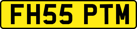 FH55PTM