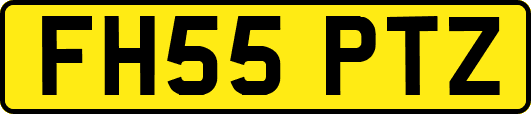 FH55PTZ