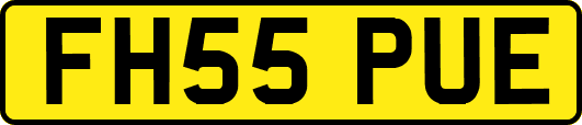 FH55PUE