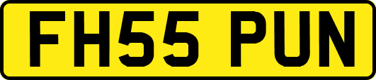 FH55PUN