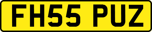 FH55PUZ