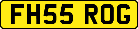 FH55ROG