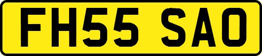 FH55SAO