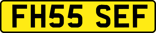 FH55SEF