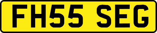 FH55SEG