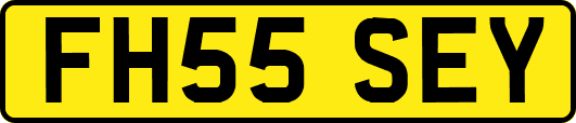 FH55SEY