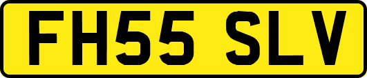 FH55SLV