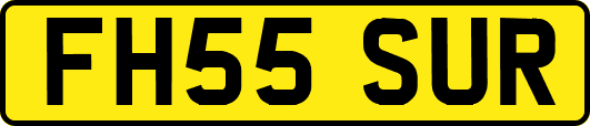 FH55SUR