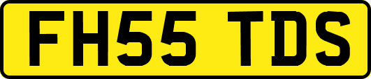 FH55TDS