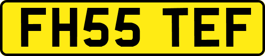 FH55TEF