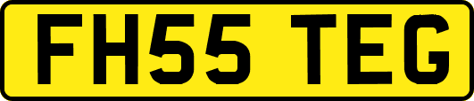 FH55TEG