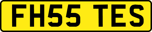 FH55TES