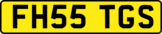 FH55TGS