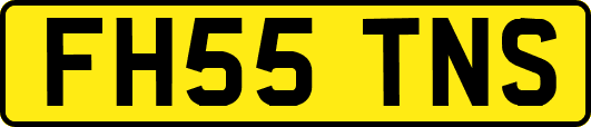 FH55TNS
