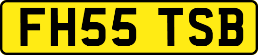 FH55TSB