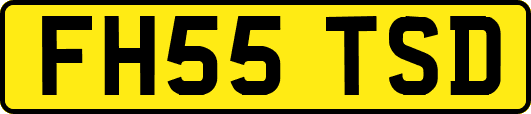 FH55TSD