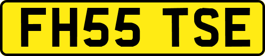 FH55TSE
