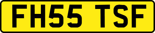 FH55TSF