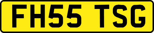 FH55TSG