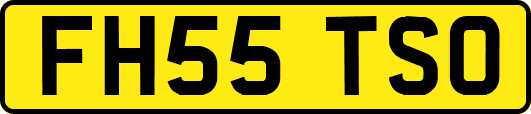 FH55TSO