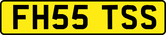 FH55TSS