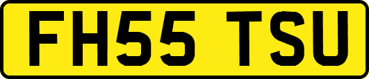 FH55TSU