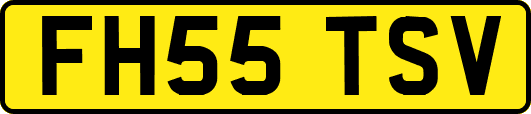 FH55TSV