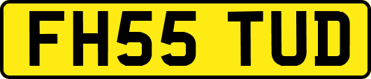 FH55TUD
