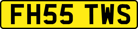 FH55TWS