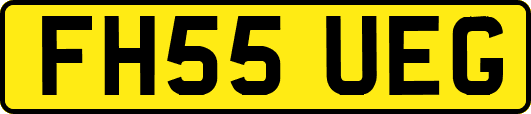FH55UEG